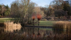 Kleinod inmitten der Stadt