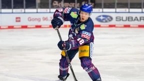 Auf der Suche nach den echten Eisbären