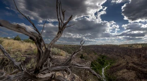 Süden der USA bereitet sich auf starke Hitzewelle vor