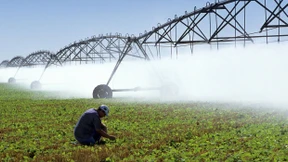 Brasilianisches Gericht verbietet Glyphosat