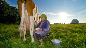 Lidl schlägt Sondersteuer für Milch vor