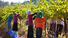 Israel und Südafrika streiten um Produktkennzeichnung
