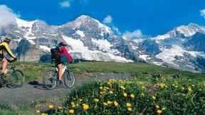 Traditionsreiche Moderne