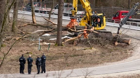 Letzte Bäume für den Riederwaldtunnel fallen
