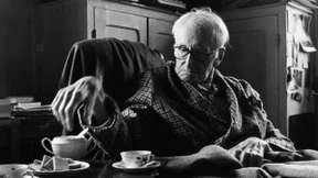 Schönheit in Zeiten des Krieges