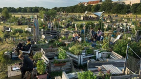 Wunsch und Wirklichkeit