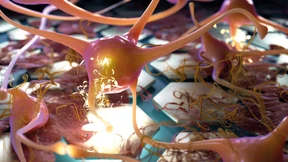 Studie zur Biointelligenz: Deutschland auf Platz zwei