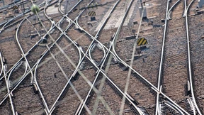 Ach, hätt ich doch nur  . . .