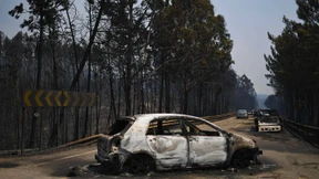 Todeszahl bei Feuerinferno in Portugal steigt auf 62