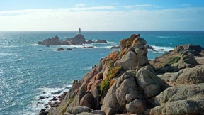 Fitness für die Auster