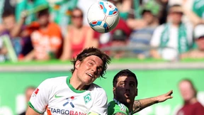 Wölfe in Lauerstellung