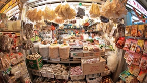 Fass dem Löwen ins Maul !