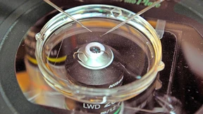 Trügerisches Rezept fürs Wunschkind