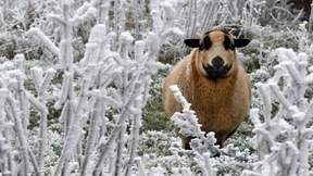 Erster Schnee in Rhein-Main