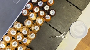 Das sind Deutschlands Glorreiche Sieben