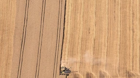 Bauern wegen Trockenheit und Hitze in Sorge