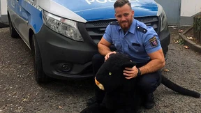 Kampfhund entpuppt sich als „Panther“