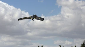 Die große Chance der Climate-Start-ups