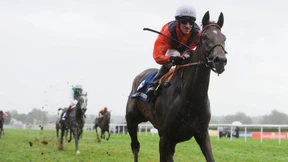 Wieder ins rechte Sonnenlicht