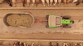 Warum Rindfleisch in Amerika „schweineteuer“ ist