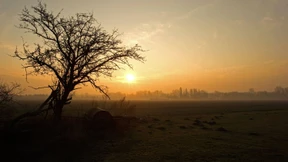 Die Menschheit entsteht in Königs Wusterhausen