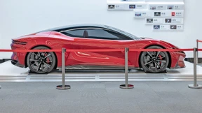 Der große Unbekannte