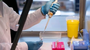 Hat der Täter blaue oder braune Augen? 