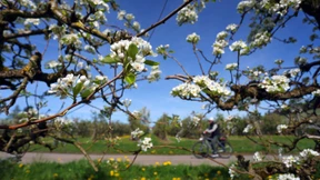 Wärmerekord in Bayern – bis zu 31 Grad möglich