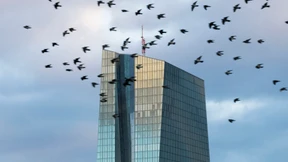 „Keine Zinsänderung der EZB in den kommenden Jahren“