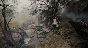 In Algerien kämpfen Bürger gegen Brände