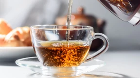 „Mit Tee ist es ein bisschen wie mit Wein“