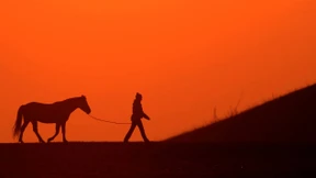 Das Ende des  kentaurischen Pakts