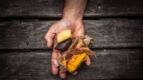 Die Inspiration der polnischen Erde