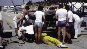 Mit Fliegen am Kühler