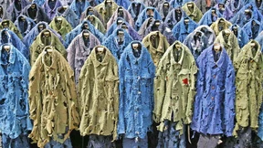 Ameise unter Beobachtung