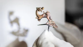 Vom Mittelmeer auf den Glauberg