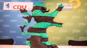 Zeugnis für das Kabinett