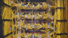 Hessen sieht sich bei KI gut aufgestellt