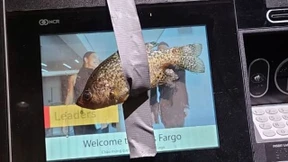 Amerikaner klebte weltweit Fische auf Geldautomaten