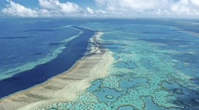 Sorge vor neuer Korallenbleiche am Great Barrier Reef