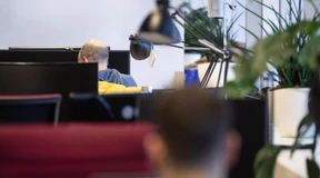 Neun von zehn würden wieder gründen