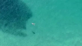 U-Boot-Programm mit neuem Chef