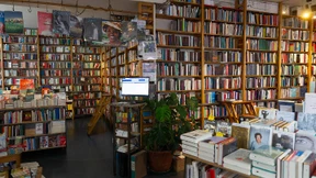 Literatur der Zeitarbeitswelt