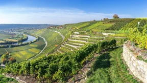 Trinkt nicht mehr, sondern besseren Wein!