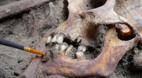 Ein Armengrab für 50.000 Tote