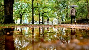 Herbstregen verschafft der Natur Erholung