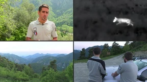 Frankreich lässt Wölfe abschießen