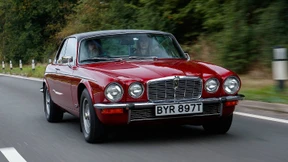 Schönheit ist vergänglich