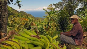 Sie ist, wie sie isst