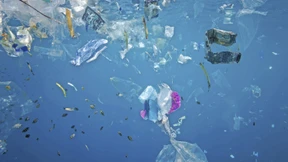 Wie die Kunden den Ökopionier Ökoworld pushen